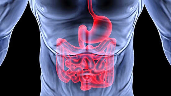 Behandlung von Gastritis mit erhöhter Säuregehalt durch Folk-Heilmittel: Die effektivsten Methoden 01