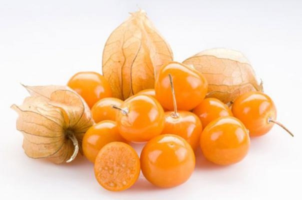 Physalis: Nützliche Eigenschaften 01