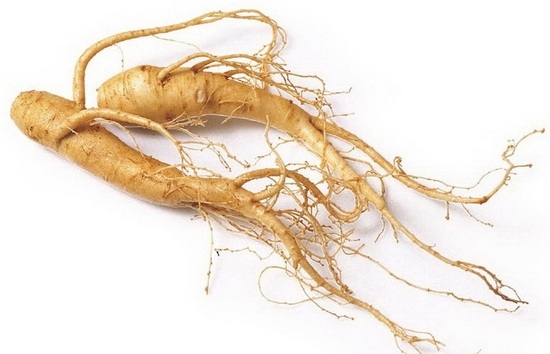 Ginseng: Nützliche Eigenschaften und Kontraindikationen. So nehmen Sie eine Tinktur und Pillen, die auf Ginseng-Wurzel basieren? 02