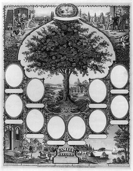 Der genealogische Baum tut es selbst - erstellte die Geschichte meiner Familie! 02