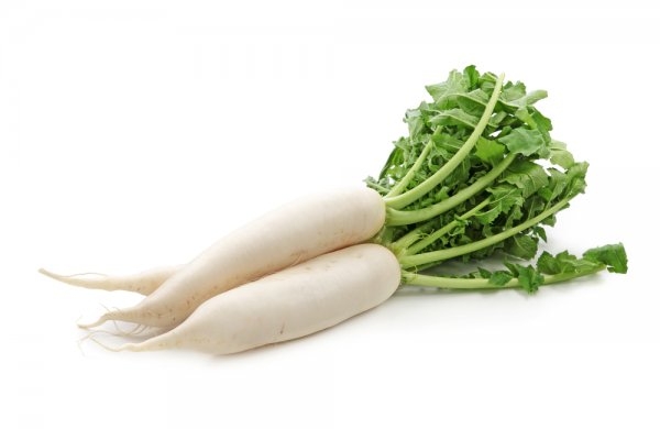 Daikon Nutzen und Schaden. Nützliche Eigenschaften und Kontraindikationen 01