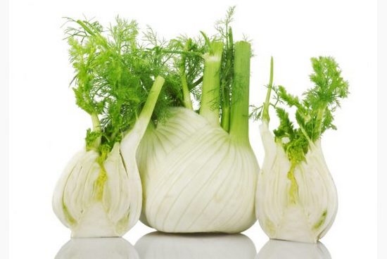 Fenchel: Nutzen und Schaden, medizinische Eigenschaften und Gebrauchsmethoden 02