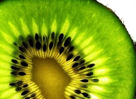 Fruit Kiwi: Nützliche Eigenschaften 03