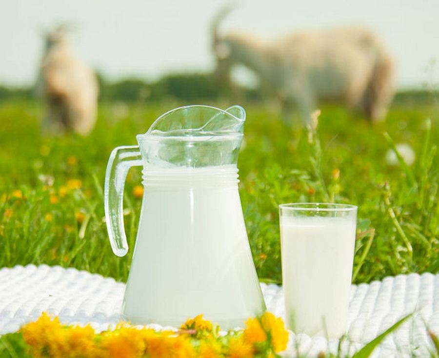 Kindermischung für Kinder auf Ziegenmilch: Was sind wir produziert, Bewertungen 01