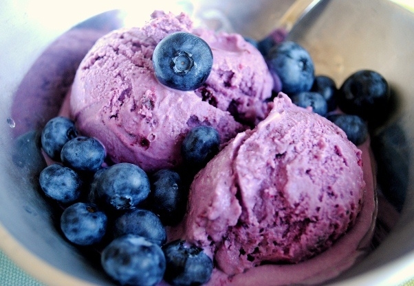 Blueberry Berry: Nützliche Eigenschaften von Blaubeeren 04