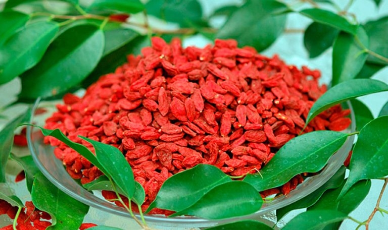 Beeren Goji: Schaden und Kontraindikationen. Als Beeren Goji kann schaden? 02