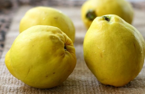 Wie man Quince isst: Nützliche Tipps und appetitliches Rezept 01