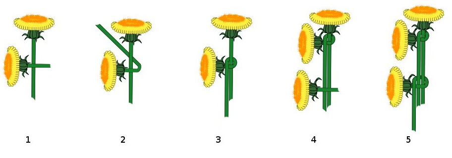 Kranz der Blumen auf dem Kopf. Wie man einen Kranz auf den Leiter der lebenden und künstlichen Farben macht 02