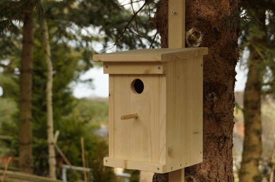 So erstellen Sie ein Vogelhaus: Zeichnung und Größen. Meisterkurse, um ein Haus für Vögel mit ihren eigenen Händen zu schaffen 02