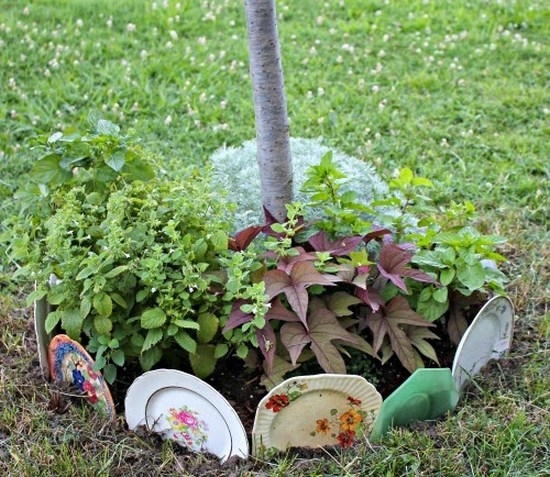 Blumen machen es selbst von progressiven Mitteln: Reifen, Steine, Plastikflaschen 11