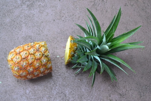 Ananas zu Hause 01