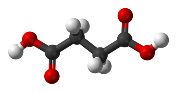 Bernsteinsäure für Anlagen: Eigenschaften und Anwendungen 02