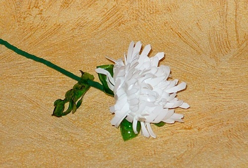 Blumen von Plastikflaschen mit ihren eigenen Händen 03