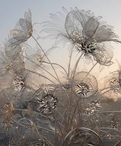 Blumen von Plastikflaschen mit ihren eigenen Händen 11