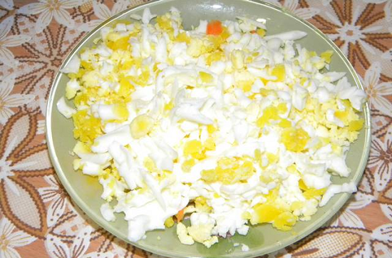 Salat «Schildkröte» mit Hühnchen und Apfel, Walnüssen, Pflaumen und anderen Zutaten 05