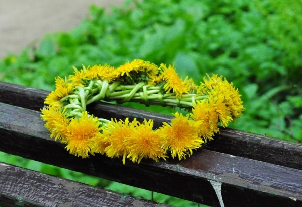 Kranz der Blumen auf dem Kopf. Wie man einen Kranz auf den Leiter der lebenden und künstlichen Farben macht 06