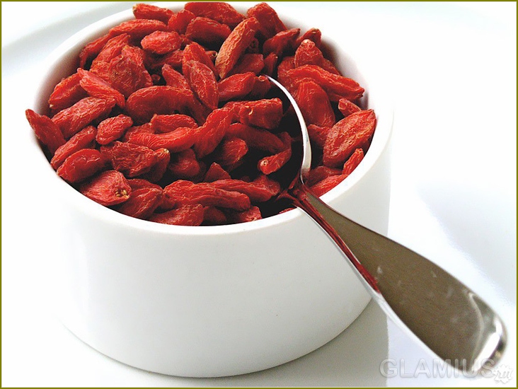 Wie züchtet man Beeren Goji? 03