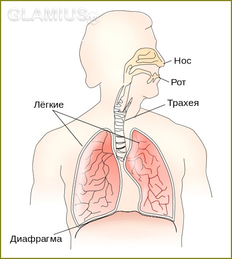 Wie man Trachitis in einem Kind behandelt 01