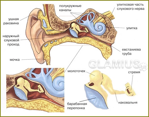 Otitis-Behandlung in Kindern 4-7 Jahre 01