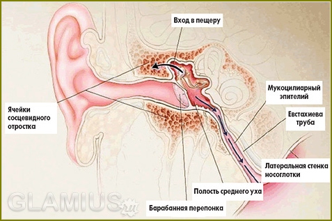 Otitis-Behandlung in Kindern 4-7 Jahre 04