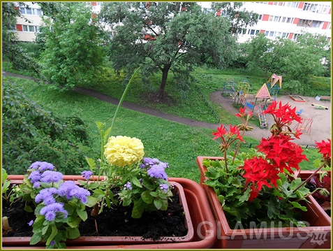 So stellen Sie einen Balkon-Farben aus 07