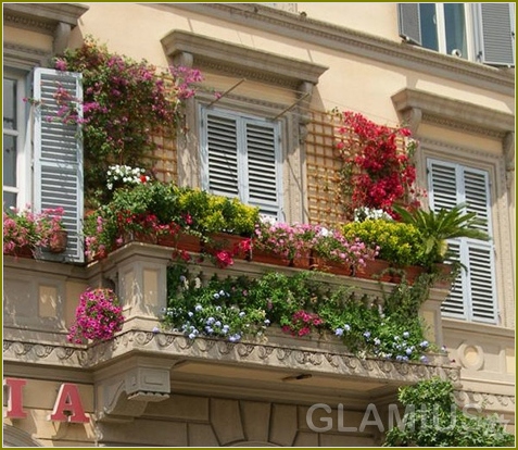 So stellen Sie einen Balkon-Farben aus 08