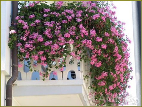 So stellen Sie einen Balkon-Farben aus 12