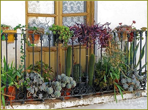 So stellen Sie einen Balkon-Farben aus 24