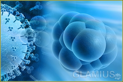 Cytomegalovirus während der Schwangerschaft 04