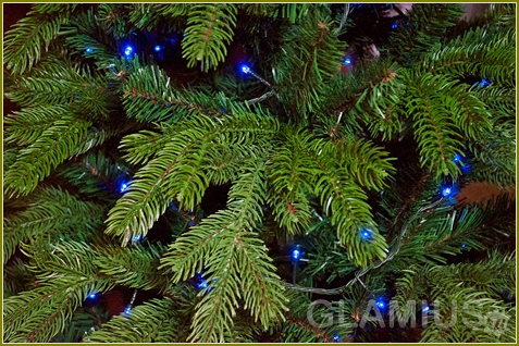 Wie man einen Weihnachtsbaum für 2015 anzieht 03